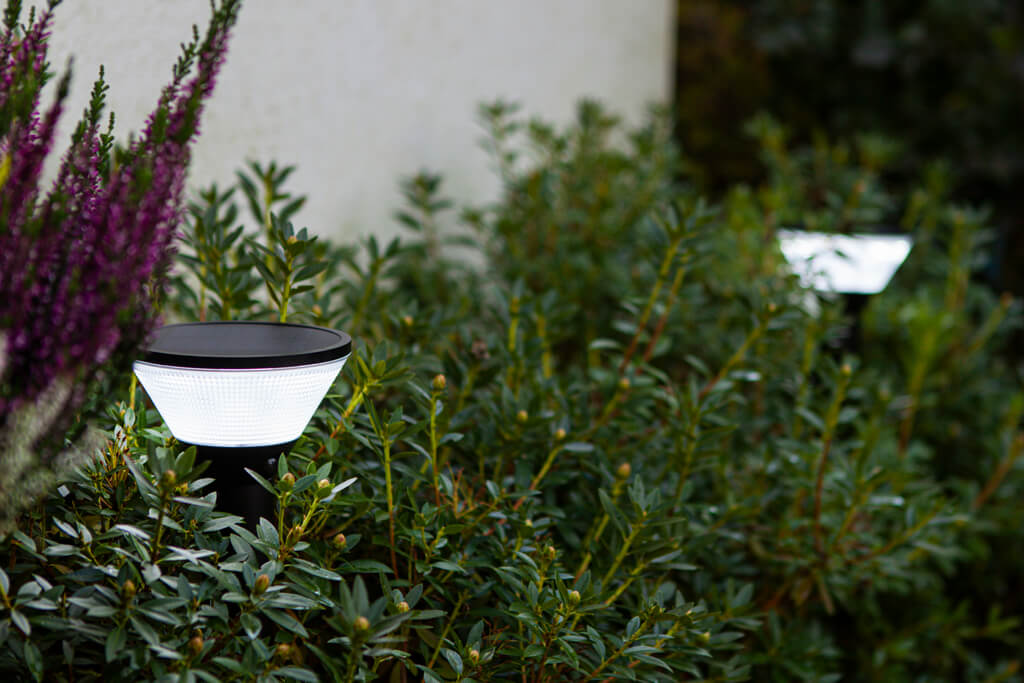 Solar stake light illuminating plants