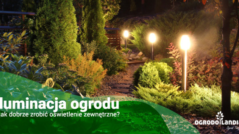 Iluminacja ogrodu - jak dobrze zrobić oświetlenie zewnętrzne?