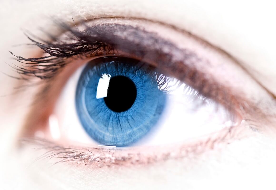 The influence of LED lighting on eyesight and health The influence of LED lighting on eyesight and health