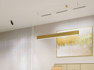 Review of the most popular models of golden lamps Review of the most popular models of golden lamps
